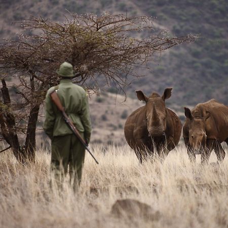 Elewana Lewa Safari Camp Hotel Timau Luaran gambar