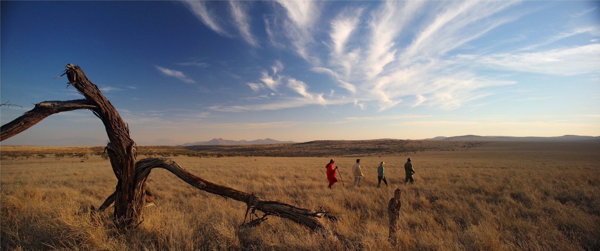 Elewana Lewa Safari Camp Hotel Timau Luaran gambar