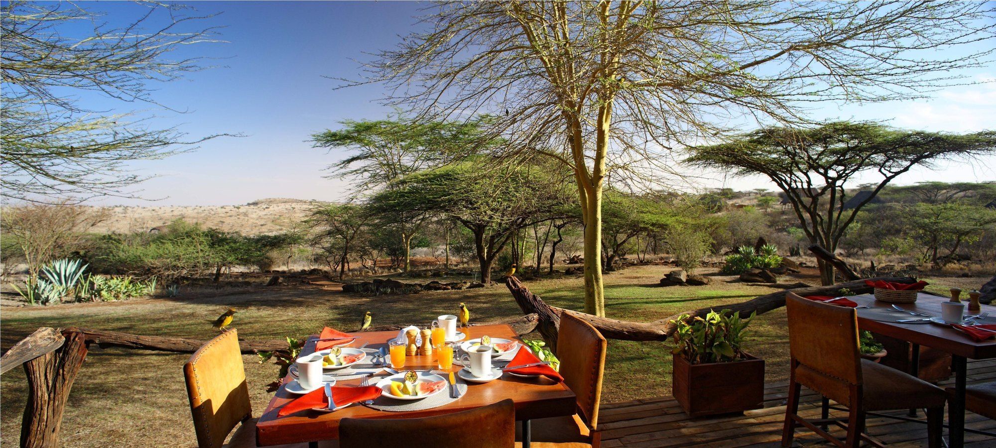 Elewana Lewa Safari Camp Hotel Timau Luaran gambar